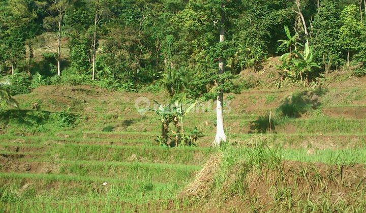Lahan Bagus 5 Ha SHM di Lebak Banten ada Air Terjun, Duren dll 1