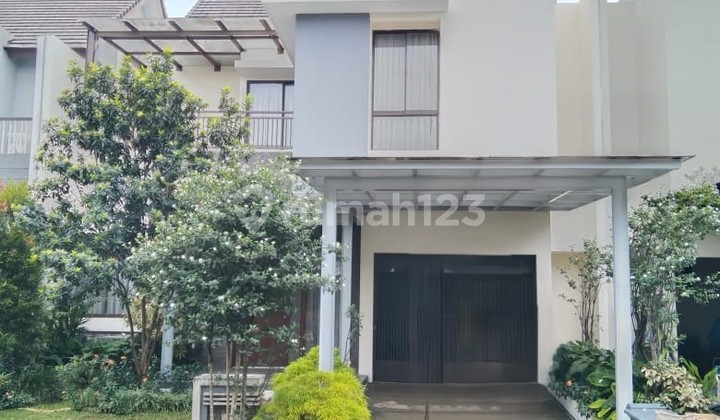 Serene House for Rent in BSD Green Cove Area Serene House for Rent in BSD Green Cove Area