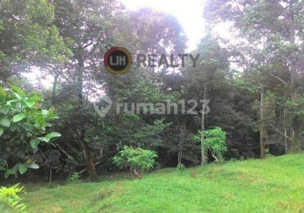 Kavling cocok untuk perkebunan atau peternakan di Desa Kalisidi 1