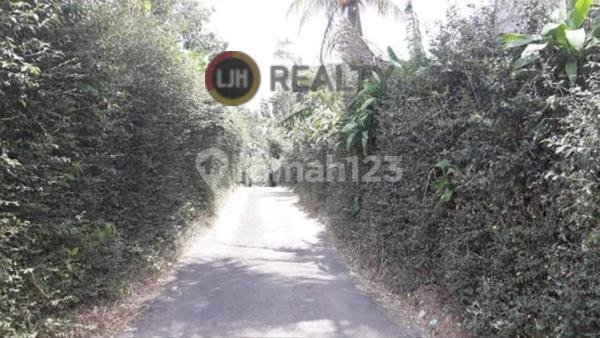 Kavling cocok untuk perkebunan atau peternakan di Desa Kalisidi 2