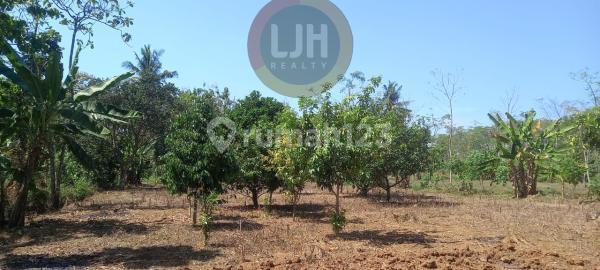 Kavling di Wonolopo, Mijen 1