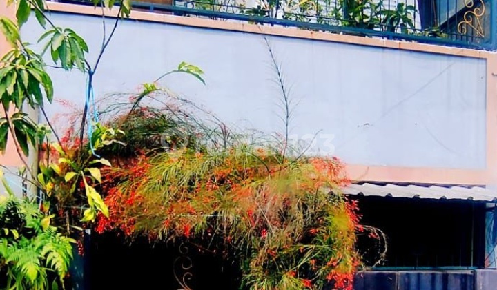 Comfortable Single-Story House to Live In