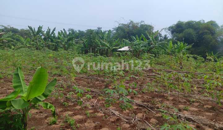 Tanah Investasi di Cipatat Kota Bandung Dekat Akses Tol dan Bebas Banjir Tanah Investasi di Cipatat Kota Bandung Dekat Akses Tol dan Bebas Banjir