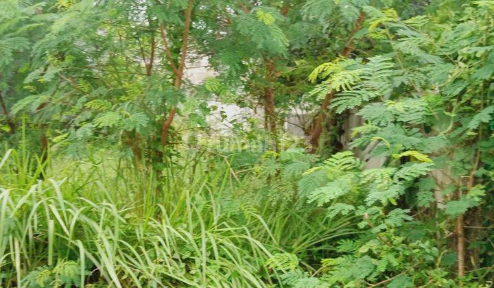 Dijual tanah 1500 m bonus 3 rumah lokasi Cimpaeun Tapos Depok 2