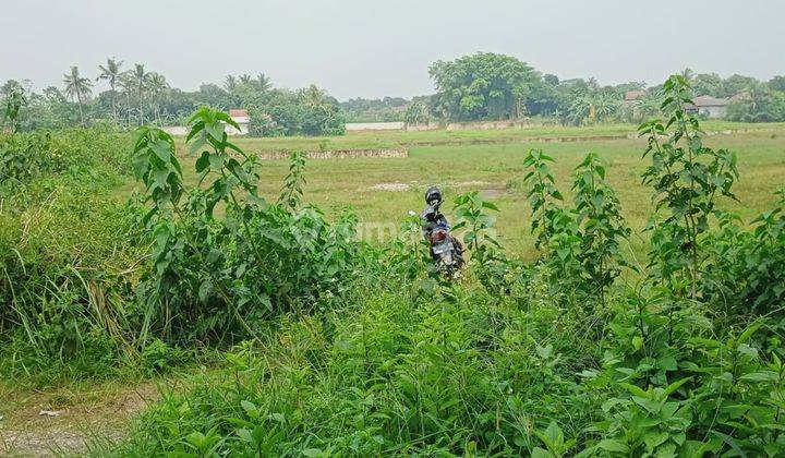 Dijual tanah 2,3 hektar akses 2 mobil lokasi di Cileungsi Bogor 2