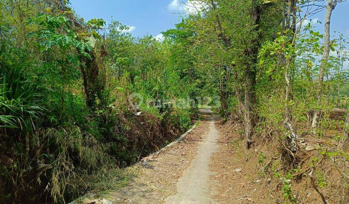 Dijual Tanah Tanon Karangasem Sragen Cocok Untuk Rumah Tinggal 2