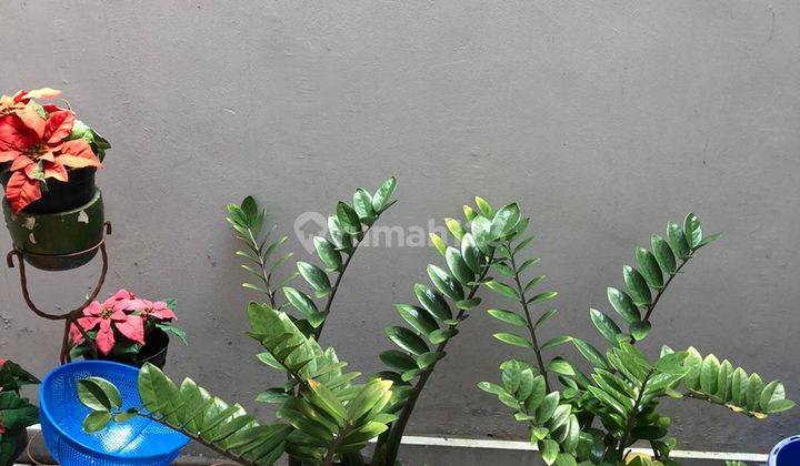 Disewakan Rumah Mewah di Summarecon Serpong 11