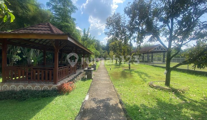 Spacious Land Suitable for Villa in Sleman Yogyakarta