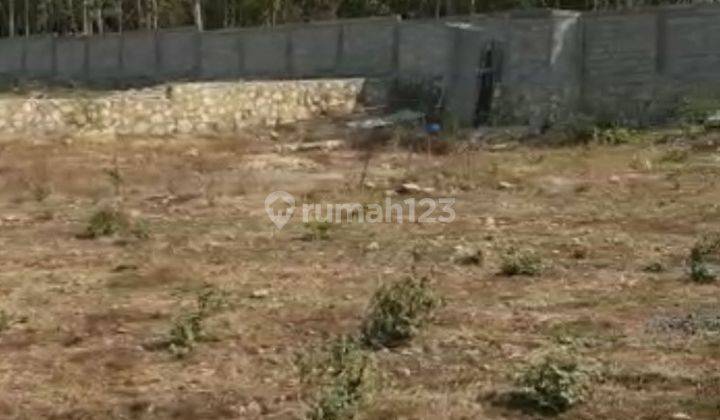 Tanah Luas Di Kawasan Industri Kulon Progo Yogyakarta. 2