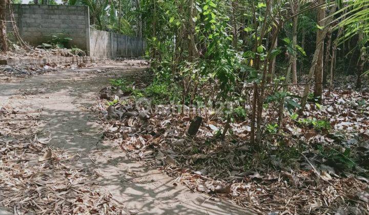 Tanah Luas 1.023 M2 Di Seyegan, Godean, Sleman, Yogyakarta 3