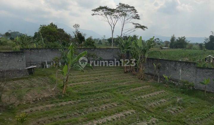 Jual Cepat Rumah Luas di Ngadirejo Temanggung Jawa Tengah 2