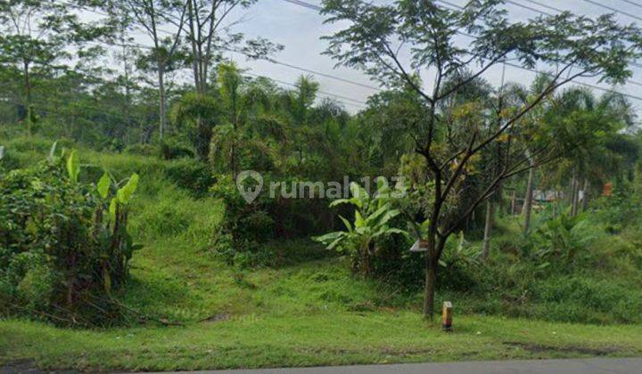 Tanah Luas 1 Ha di Secang Magelang Jawa Tengah 2