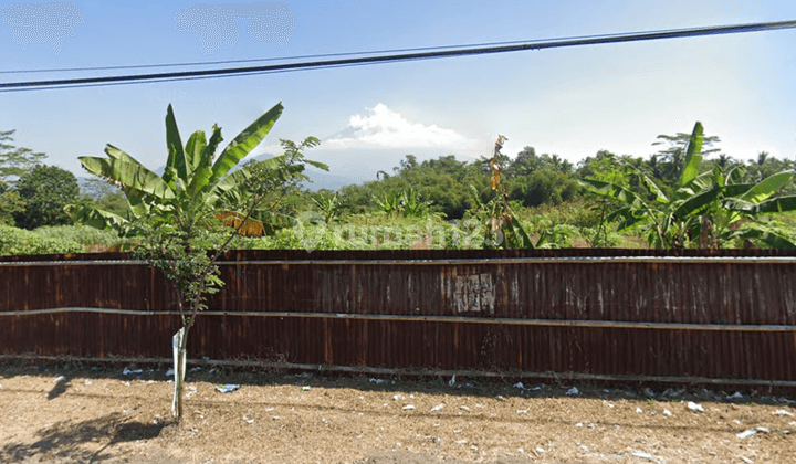 Tanah Luas 3 Ha di Secang Magelang Jawa Tengah 2