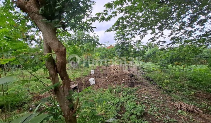 Dijual Tanah Seluas 1701 Meter Persegi Lokasi Strategis di Jl. Adi Sucipto, Depok, Sleman