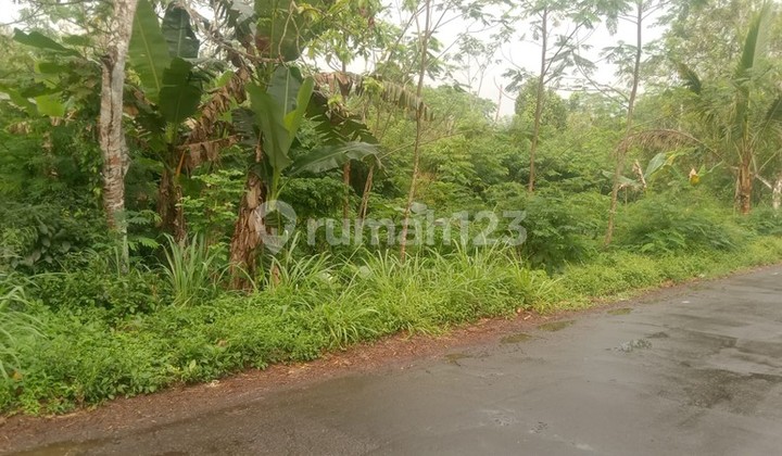 Tanah 1845 Meter Persegi Diarea Wisata Kaliurang Girikerto Turi Sleman Tanah 1845 Meter Persegi Diarea Wisata Kaliurang Girikerto Turi Sleman