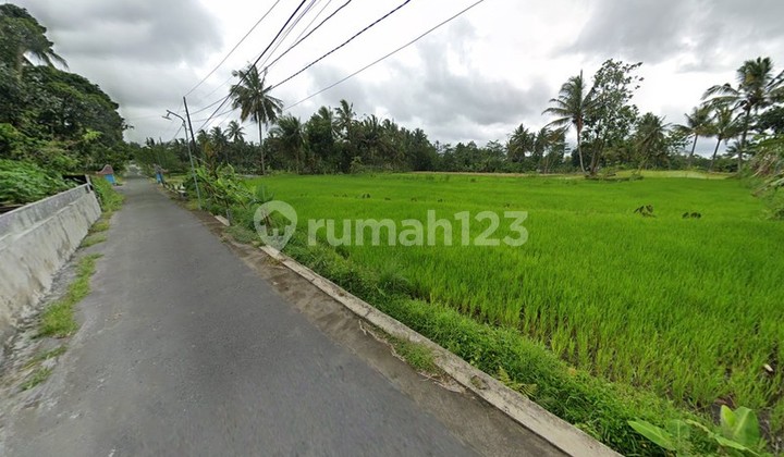 Tanah Strategis 1.693 Meter Persegi di Jalan Kaliurang Km 18 Lingkungan Asri & Sejuk Pakem Sleman