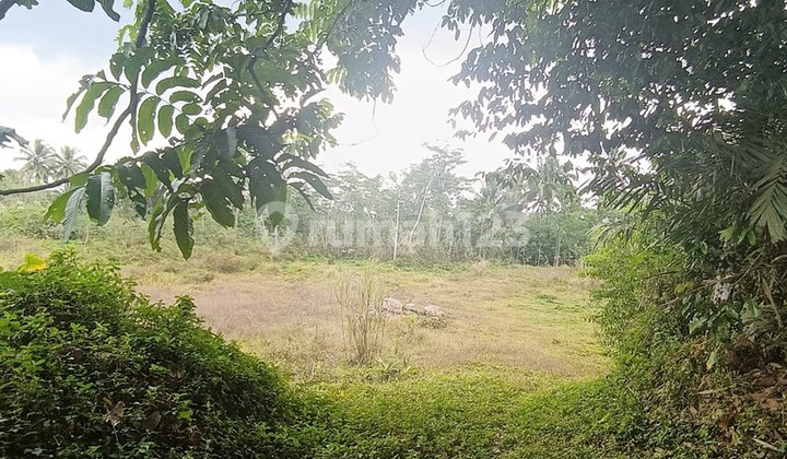 Tanah 24600 Meter Persegi Cocok Untuk Homestay/Glamping, Wonokerto, Turi