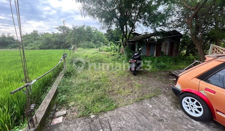 Investasi Terbaik Tanah Siap Bangun 1000 Meter Persegi di Lingkungan Asri Sleman, Dekat Jalan Magelang, Sinduadi, Mlati, Sleman