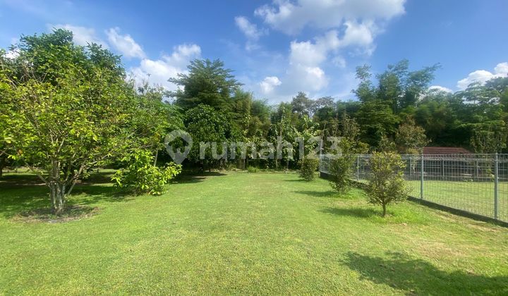 Tanah Luas Cocok untuk Villa di Sleman Yogyakarta