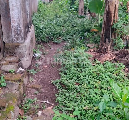 Dijual Tanah Strategis di Sardonoharjo Ngaglik Sleman - Dekat Jalan Kaliurang & Kampus UII Dijual Tanah Strategis di Sardonoharjo Ngaglik Sleman - Dekat Jalan Kaliurang & Kampus UII