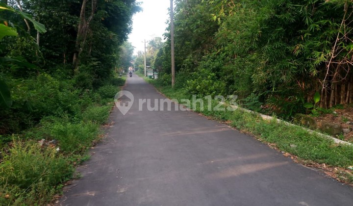 spacious land in Seyegan, Sleman, Yogyakarta spacious land in Seyegan, Sleman, Yogyakarta