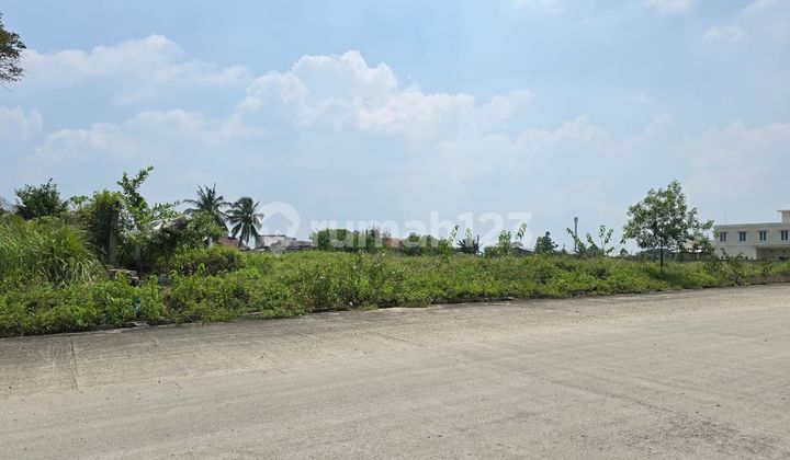 Tanah Kavling Industri Di Cikande Serang Banten