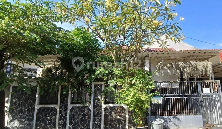 Rumah 1 Lantai Rapi Siap Huni Semi Furnished di Nusa Loka BSD