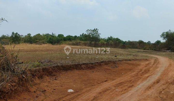 Tanah Kavling Komersil dan Industri Di Citeras Jalan Raya Rangkas Bitung Banten 2