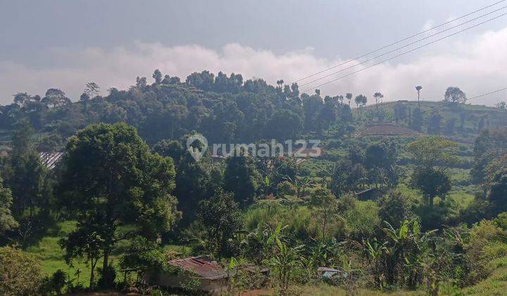 Tanah di Desa Citamiang Tugu Utara Cisarua Puncak Bogor Jawa Barat 2