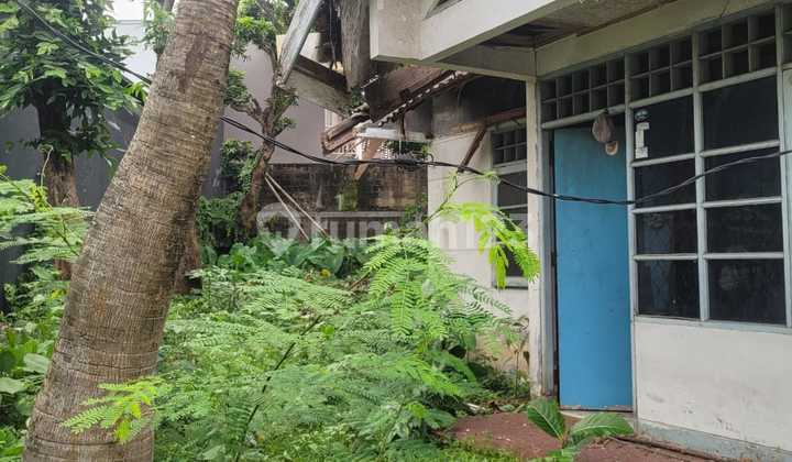 Rumah Depan Taman Murah Hitung Tanah Di Griya Loka Bsd Cocok Untuk Kos Kosan