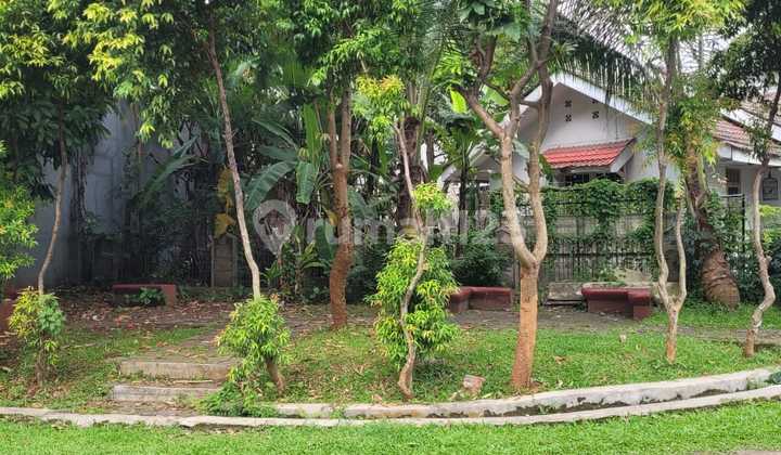 Rumah Murah Hitung Tanah Di Jalan Wortel Griya Loka Bsd Cocok Untuk Kos Kosan Dekat Pintu Tol