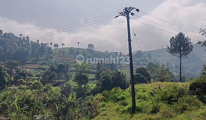 Tanah di Desa Citamiang Tugu Utara Cisarua Puncak Bogor Jawa Barat 1