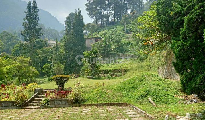 Tanah Di Cisarua Puncak Bogor Cocok Untuk Vila Cafe Dekat Dgn Damar Langit Dan Air Terjun 2
