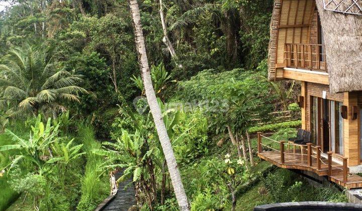 Natural Villa View Sawah Gunung Sungai Sidemen Karangasem Bali  1