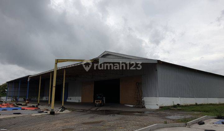 Nol Jalan Pantura Beli Gudang Bonus Tanah Luas Gembong Lamongan 1
