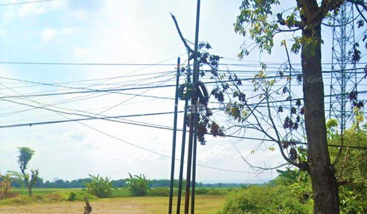 Dijual Kavling Raya Balen Bojonegoro Siap Bangun Pabrik gudang 3