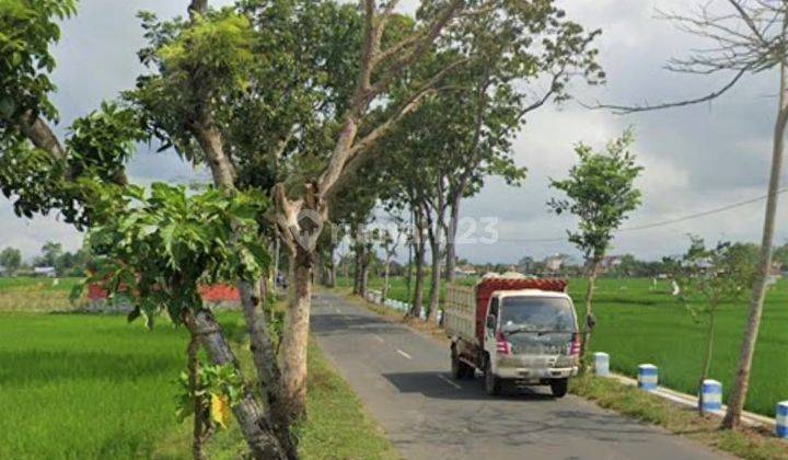 Bisa Dibangun Pabrik, Gudang Tanah Sawah Gondang Tulungagung 1