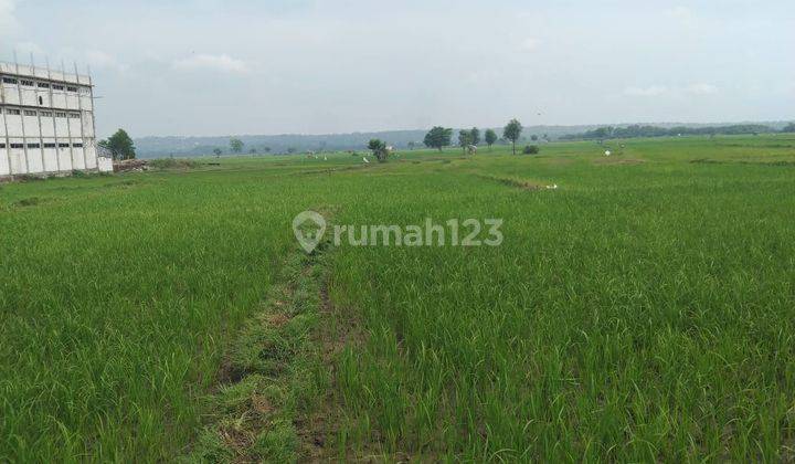 Beneran Murah 2 Jutaan Permeter Bisa Bangun Pabrik Tanah Include Gudang Nol Jalan Raya Prigen Pandaan Jatim Dekat Exit Tol 13