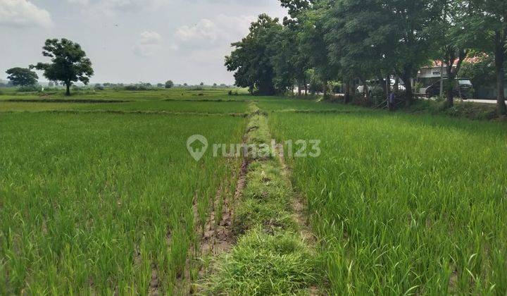 Beneran Murah 2 Jutaan Permeter Bisa Bangun Pabrik Tanah Include Gudang Nol Jalan Raya Prigen Pandaan Jatim Dekat Exit Tol 14