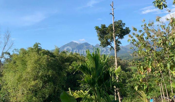 Jual Cepat Tanah Ngantong Luas Rumah 2 Lantai Salamrejo Berbek Nganjuk 6