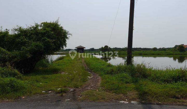 Cocok Buat Ruko Perumahan Tanah Kavling Tambak Oso Waru Sidoarjo Nol Jalan Raya  1