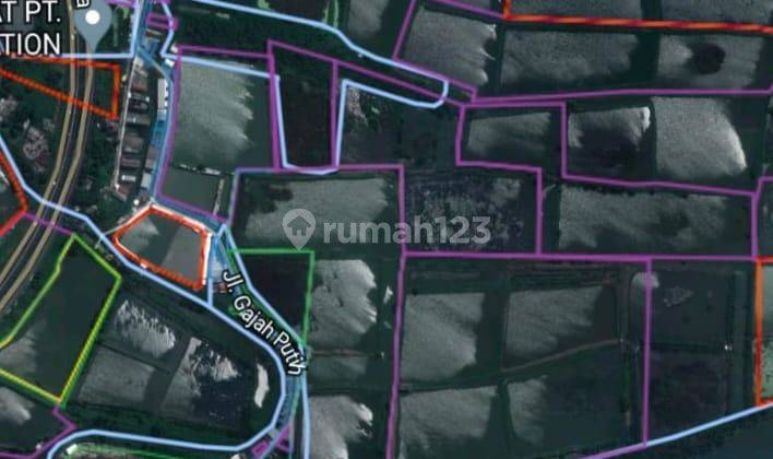 Cocok Buat Ruko Perumahan Tanah Kavling Tambak Oso Waru Sidoarjo Nol Jalan Raya  3