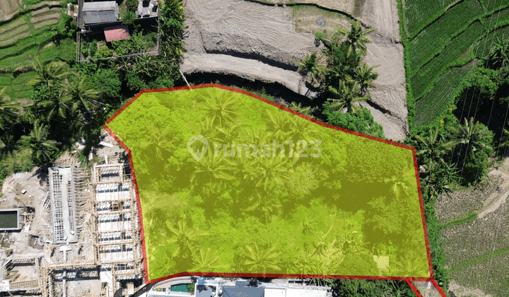 For Sale Rare Land At Singapadu Ubud 2