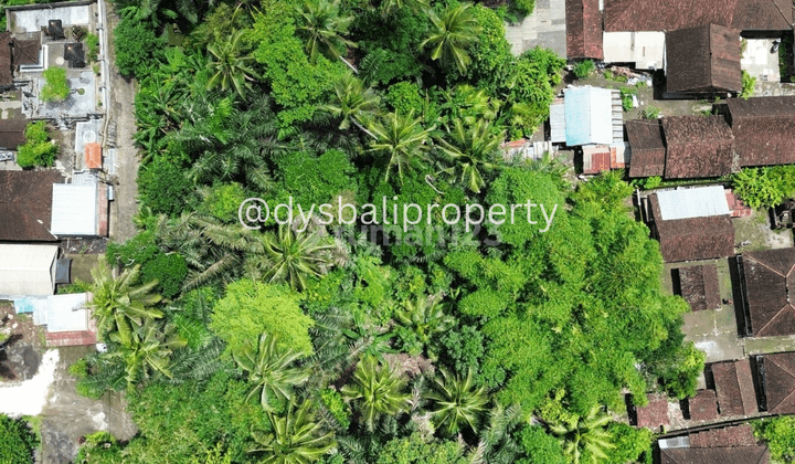 For Sale Leasehold Land In Sayan Ubud 2