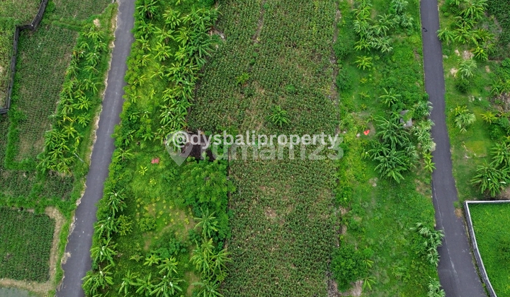 For Sale Premium Land With View Padanggalak Beach 2
