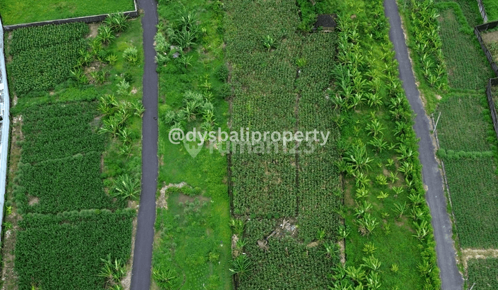 For Sale Premium Land With View Padanggalak Beach 3