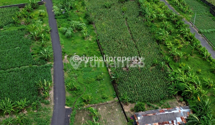 For Sale Premium Land With View Padanggalak Beach 4