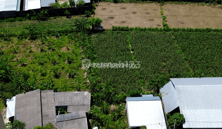 For Sale Freehold Land At Padanggalak Sanur 4