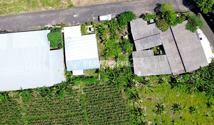 For Sale Freehold Land At Padanggalak Sanur 5
