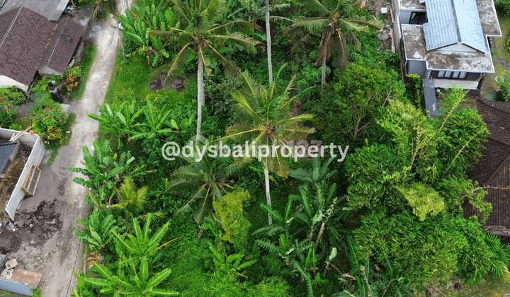 For Sale Leasehold Land In Private Area And Complex Villas At Demayu Singakerta , Ubud 2